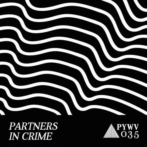 VA - Partners in Crime [PYWV035]